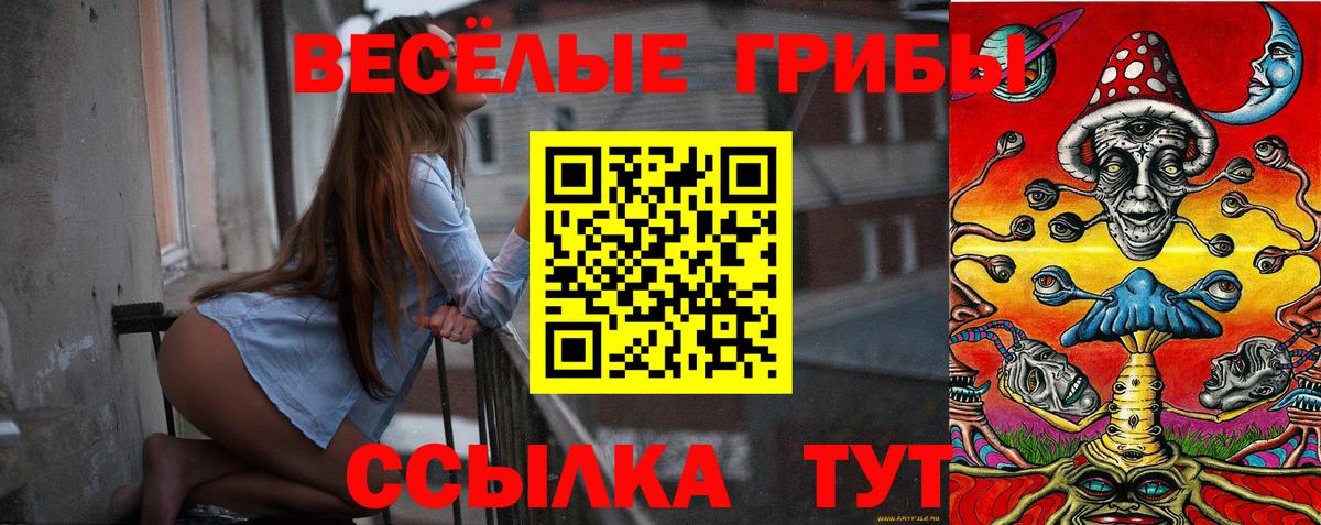 Псилоцибиновые грибы Psilocybine cubensis  даркнет сайт  Муром  Вход с VPN 